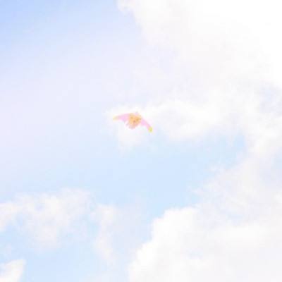螺旋圆舞曲taptap下载
