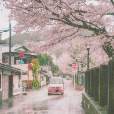 合战三国志手游下载